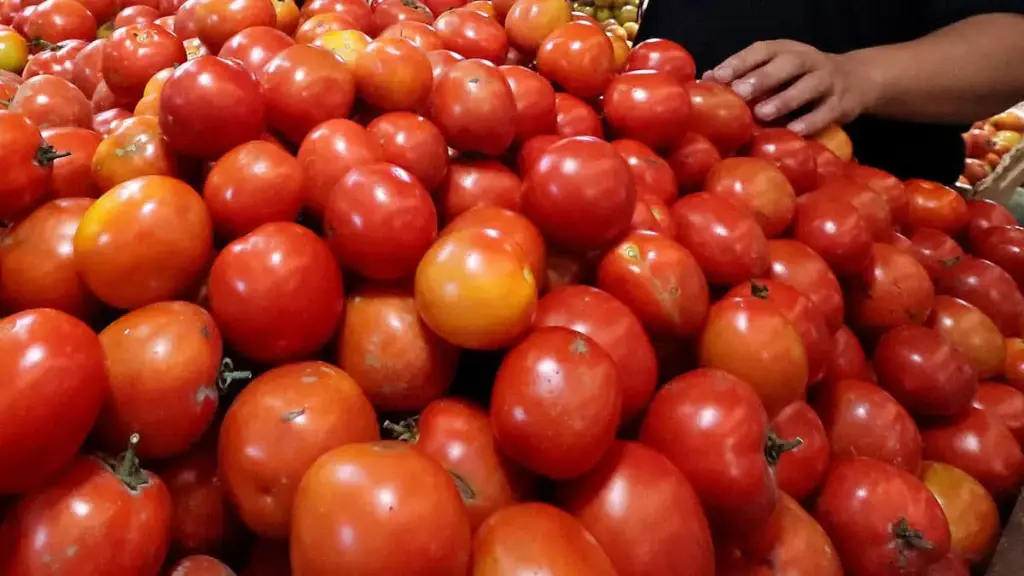 Tomato (Tamatar)