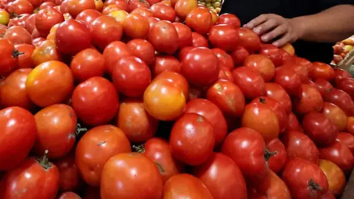Tomato (Tamatar)